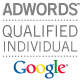 Google Qualified Individual Certification